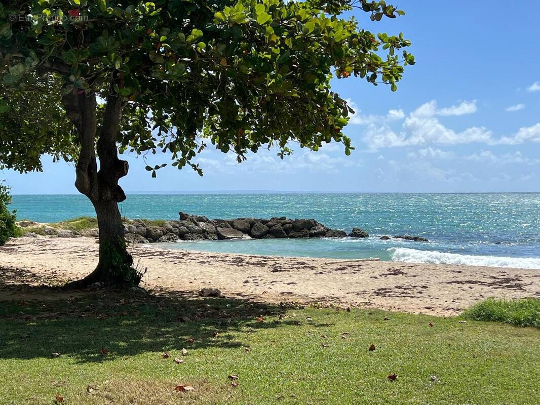 Photo 1 - Appartement à LE GOSIER