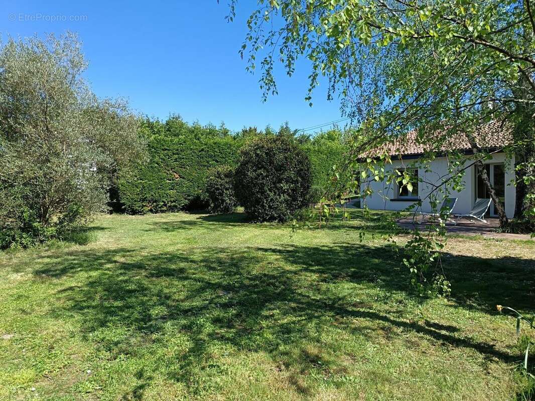Photo 3 - Maison à COGNAC