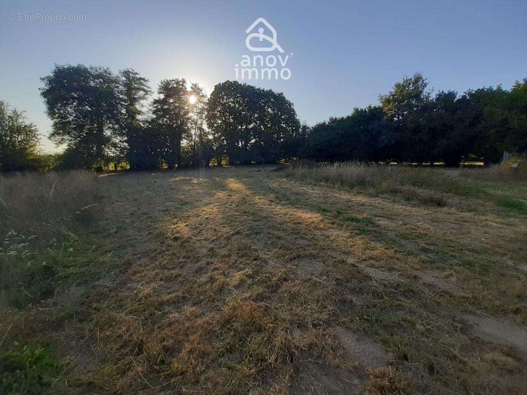 Rare Opportunité Terrain de 3 148 m2 à Saint-Junien - Cadre - photo 2