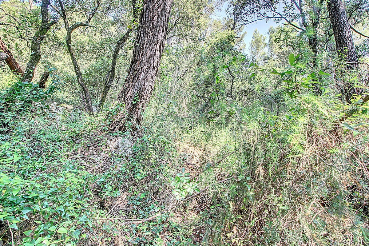 Terrain à LORGUES