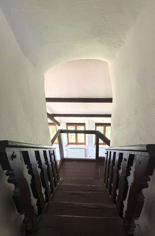 Propriete à vendre 8 pièces MONTEGUT (65) - photo 18