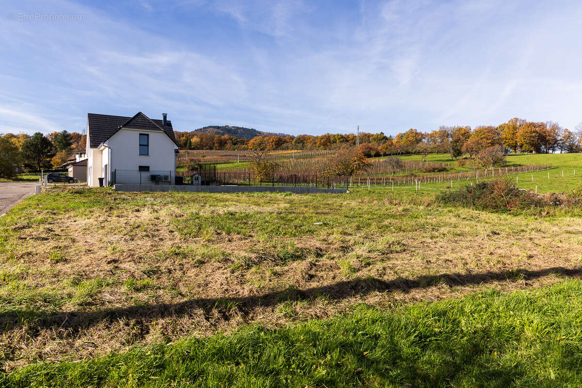 Terrain à WUENHEIM