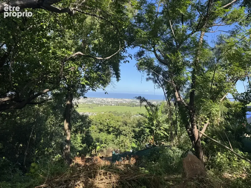 Terrain à bâtir 542 m2   vue dégagée mer et littoral  riviere saint louis - photo 2