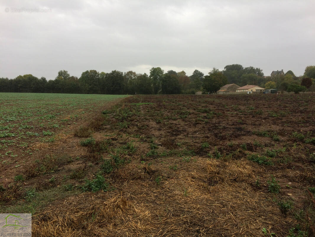 Terrain à SANXAY