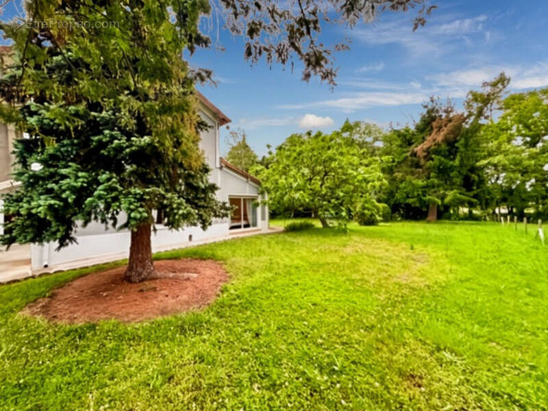 Maison à TRIE-SUR-BAISE