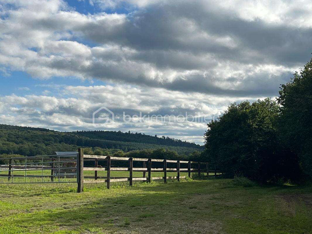 Magnifique propriété avec son exploitation équestre et 37 hectares de terrain - photo 20