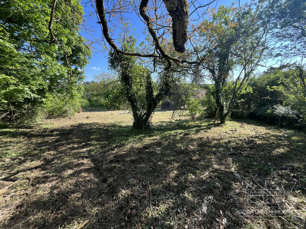 Terrain à SAINT-BENIN-D'AZY