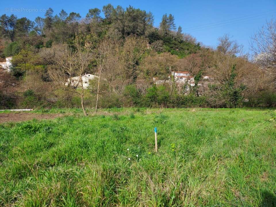 Terrain 1990 m² à Sollies-Toucas  - photo 2