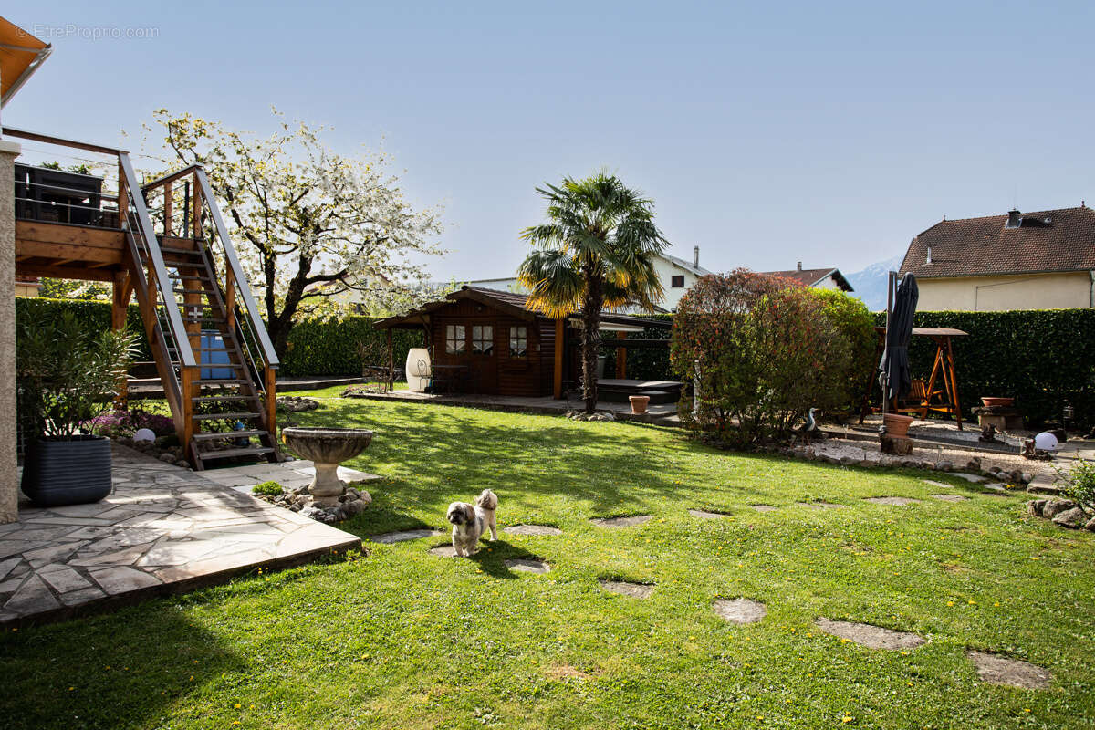 Autre à SAINT-ALBAN-LEYSSE
