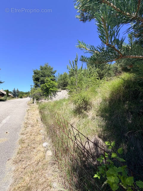 Terrain à LE SAUZE-DU-LAC
