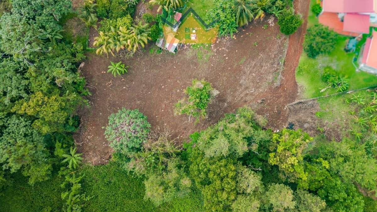 Terrain à SAINT-ESPRIT