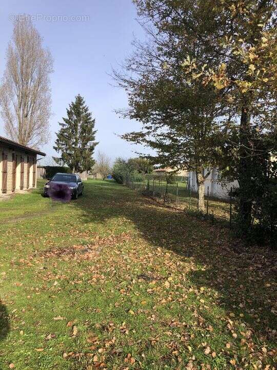 Terrain à CISSAC-MEDOC