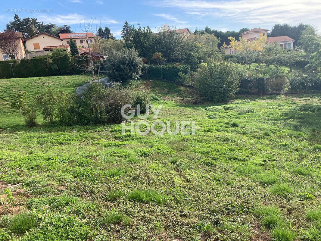 Terrain à SAINT-MARTIN-LESTRA