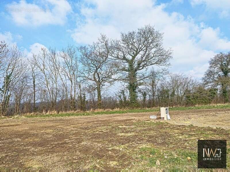 Terrain à CAMPIGNY