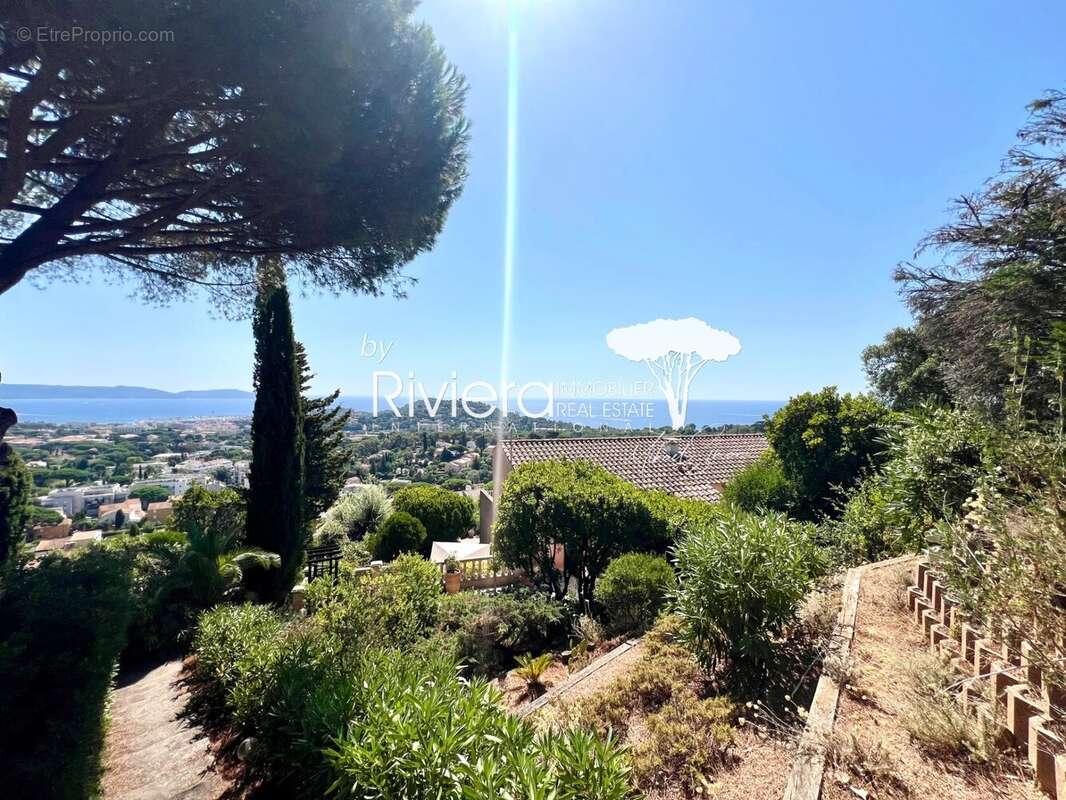 T3 vue mer panoramique ! - photo 10