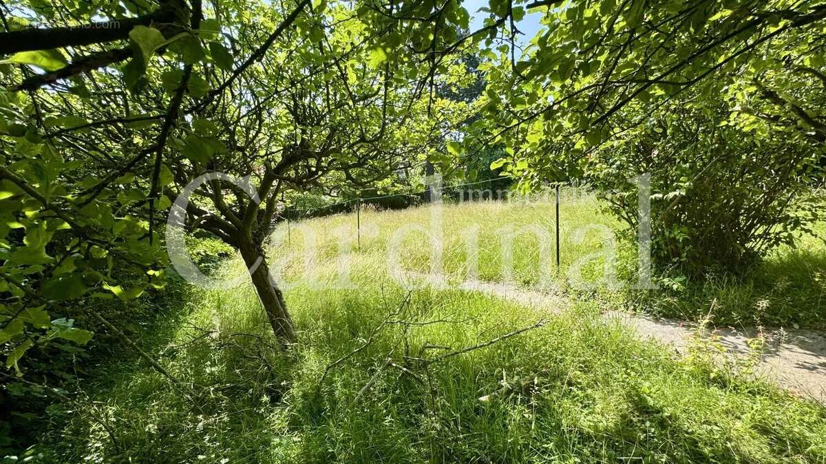 Terrain à L&#039;ETANG-LA-VILLE