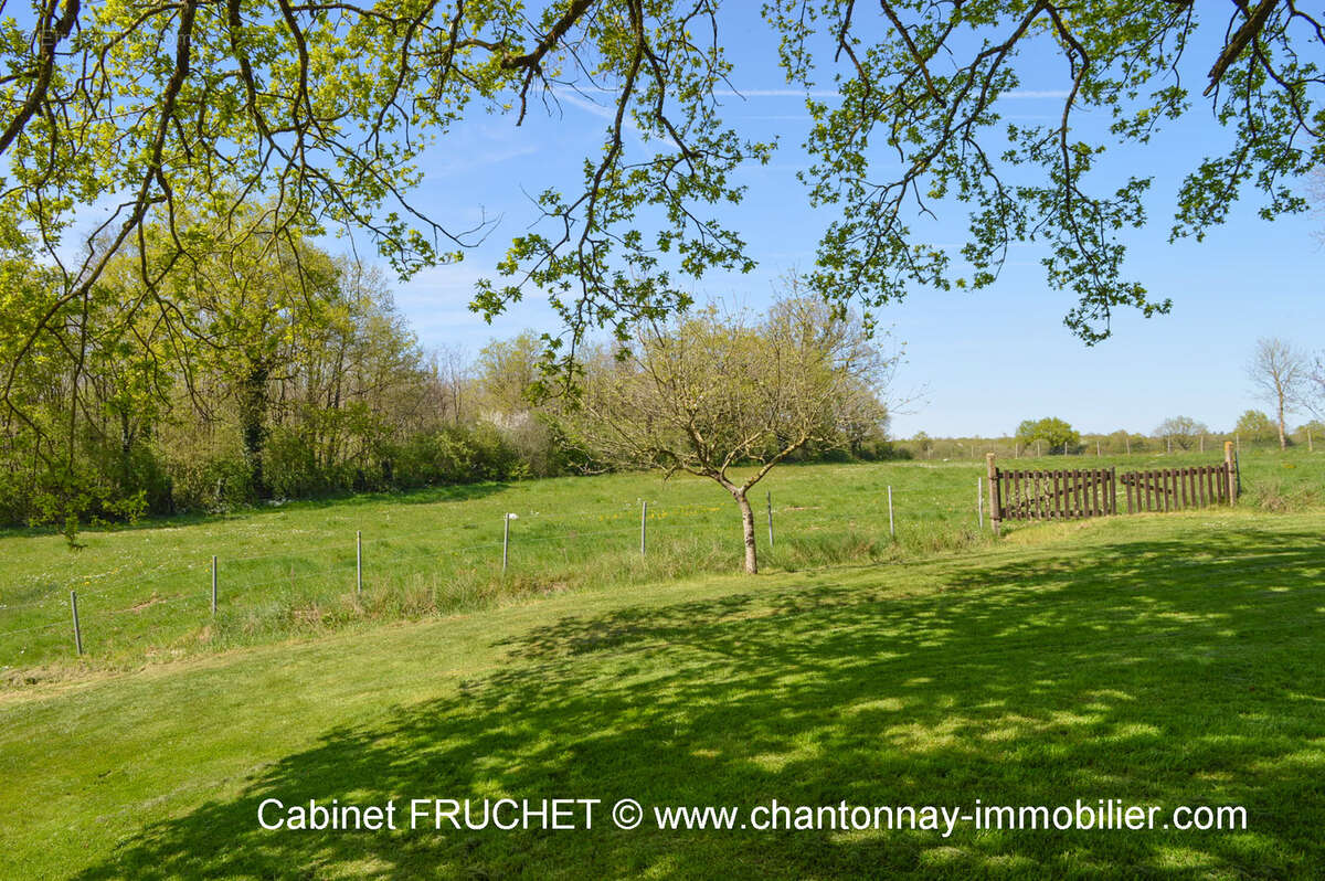 Maison à CHANTONNAY