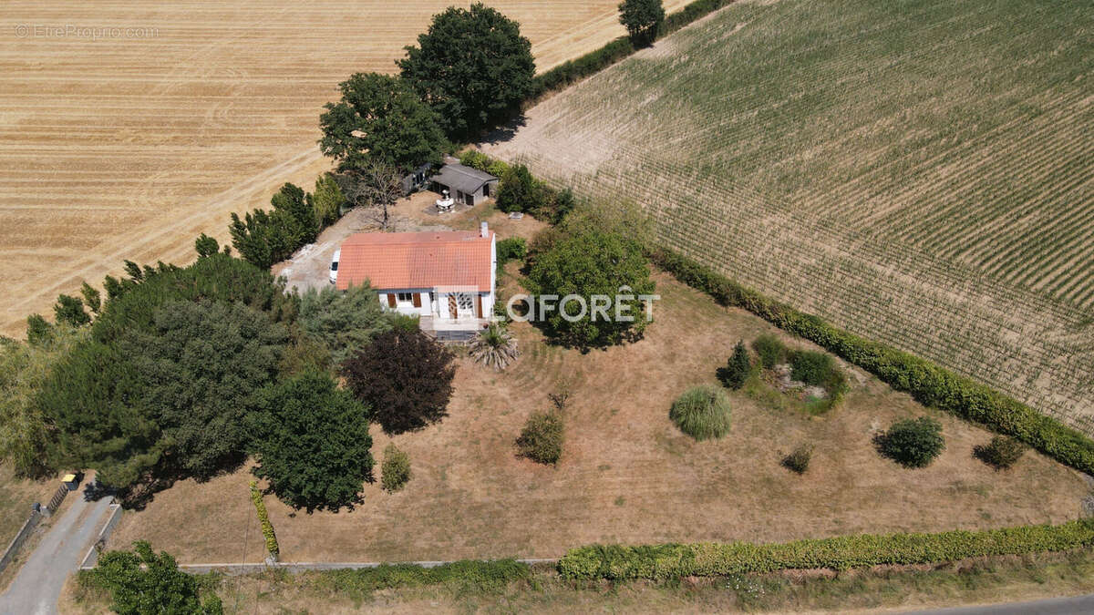 Maison La Seguiniere 7 pièce(s) 88 m2 - photo 4