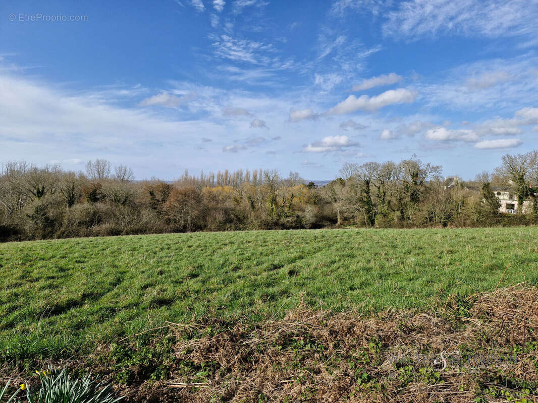Terrain à LOGONNA-DAOULAS