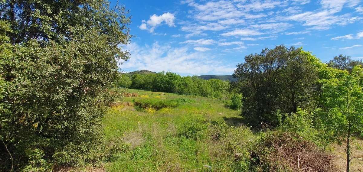 Terrain à TAUSSAC-LA-BILLIERE