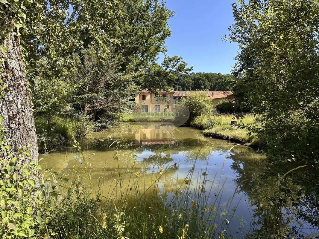 Maison pittoresque avec étang - photo 18