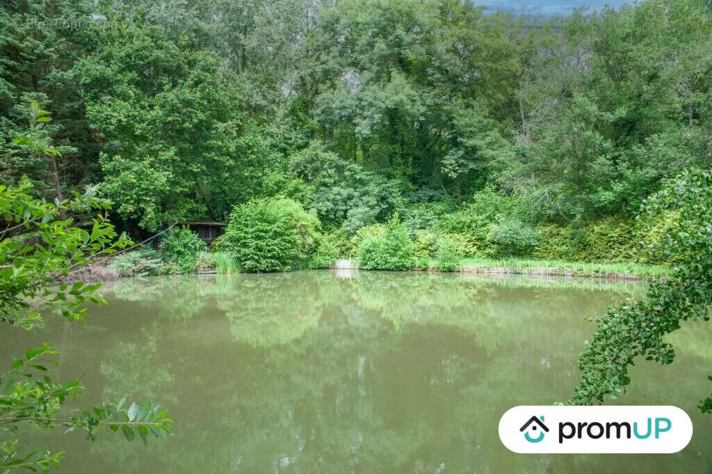 Terrain à COURMELLES