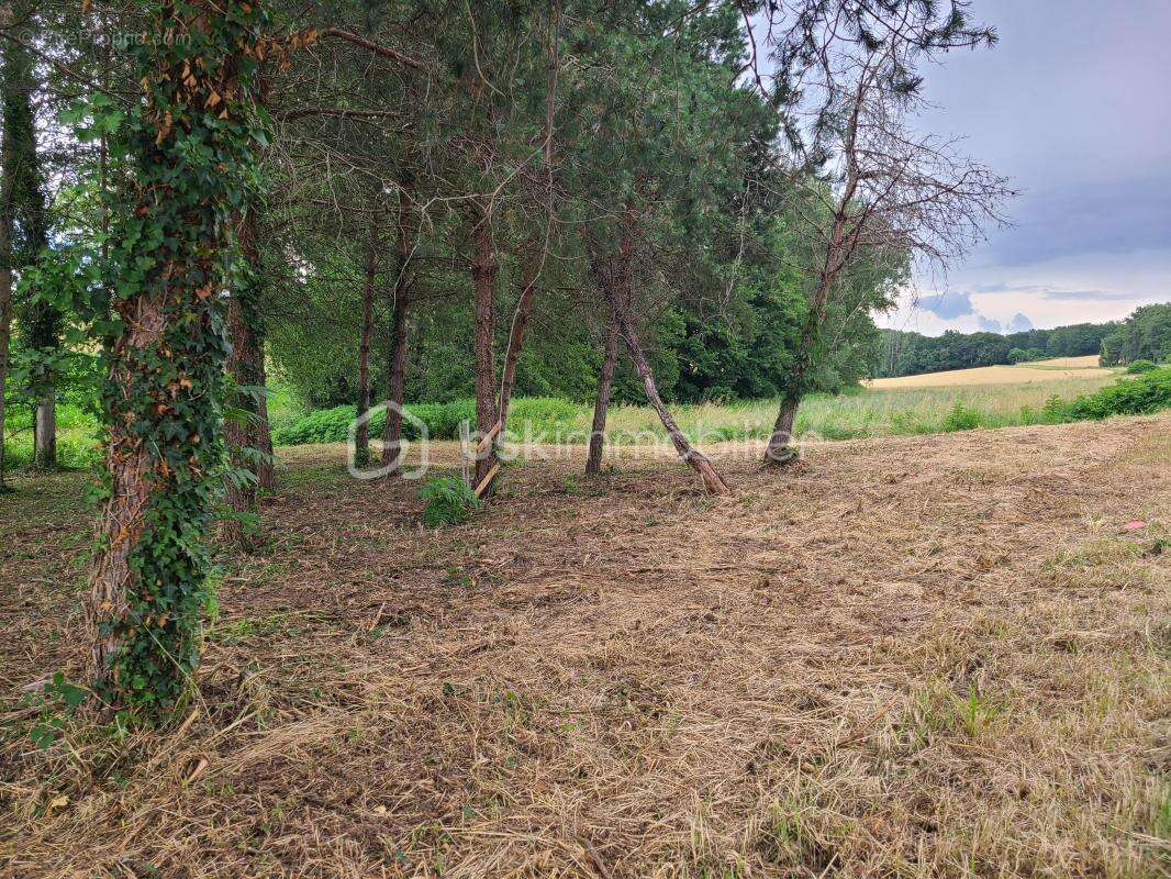 Terrain à GREZET-CAVAGNAN