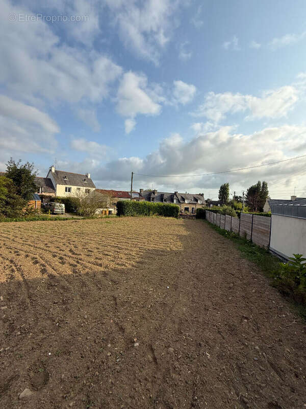 Terrain à LANGUEUX