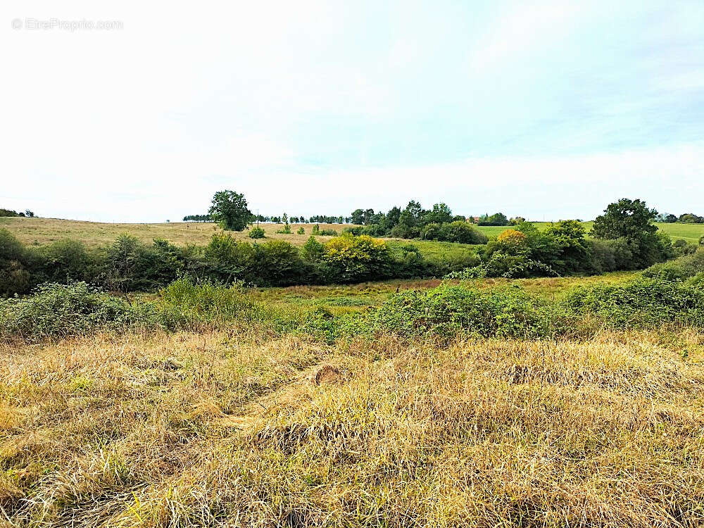 Terrain à MARGOUET-MEYMES