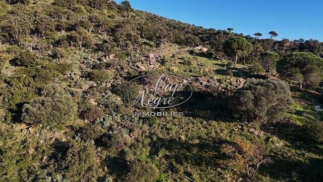 Terrain à BORMES-LES-MIMOSAS