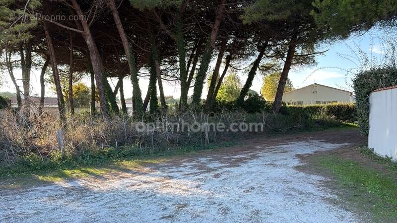 Terrain à LE BOIS-PLAGE-EN-RE