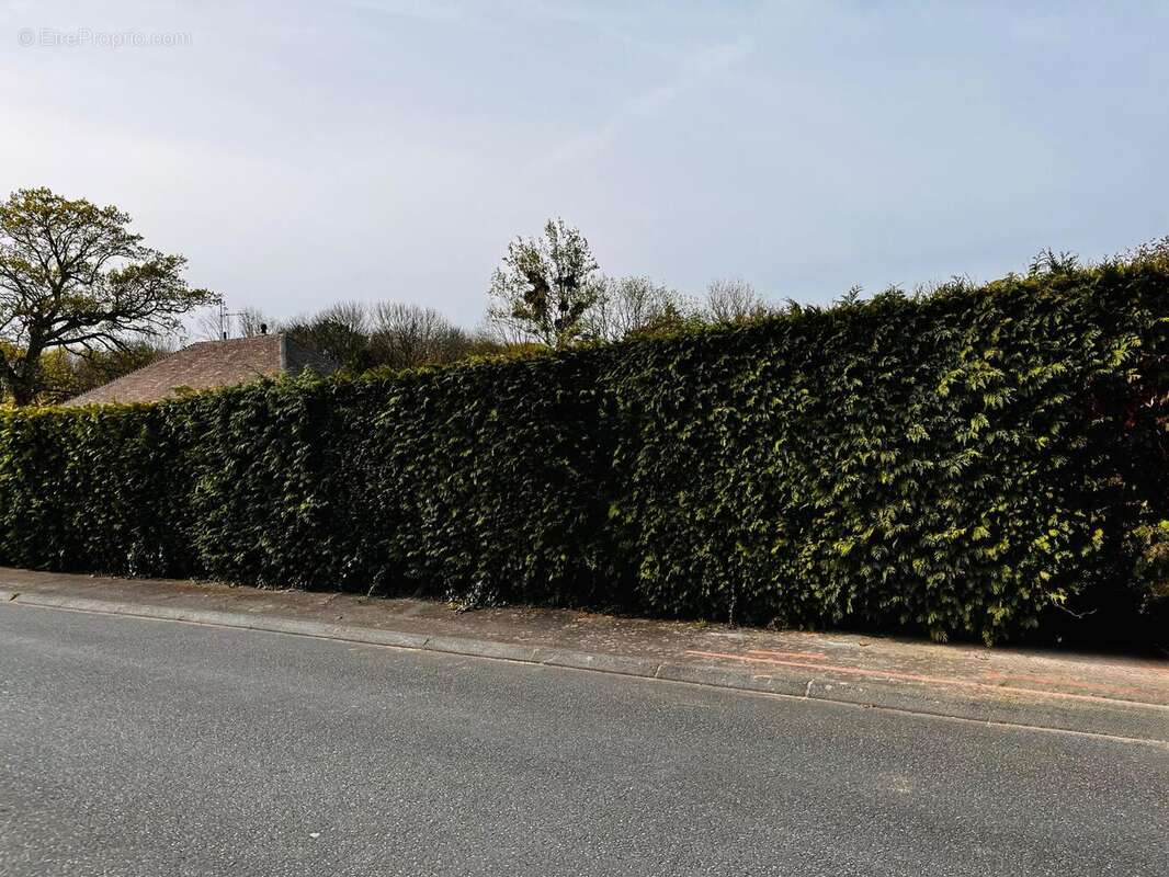 Photo 3 - Terrain à MOUEN