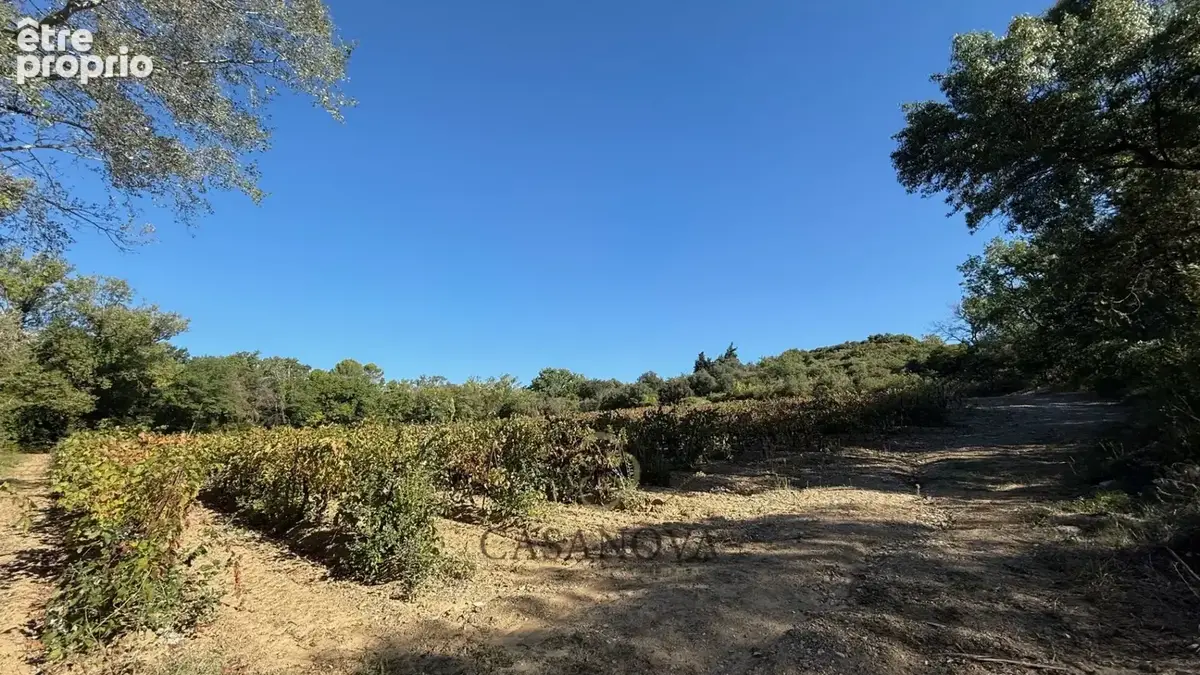 Domaine de 32 hectares en bord de rivière avec deux batisses entièrement rénovées, piscines et potentiel touristique en Occitani - photo 4