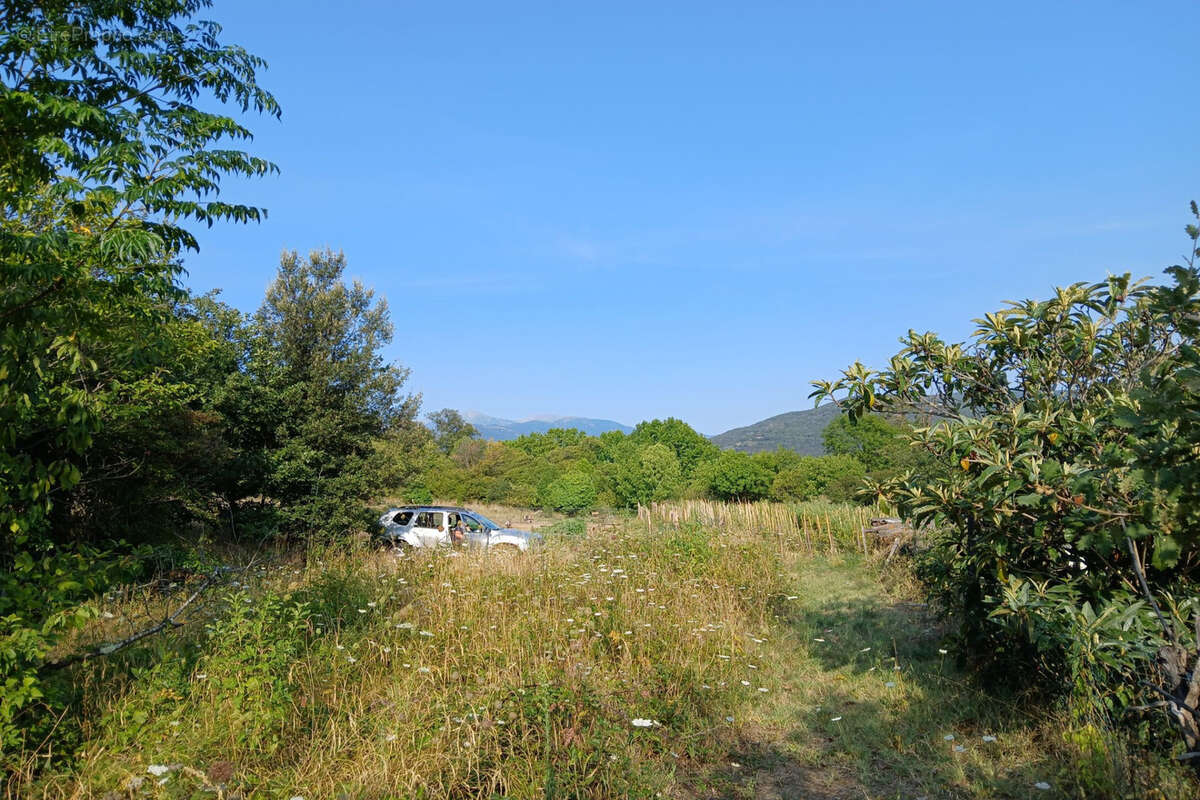 Terrain à REYNES