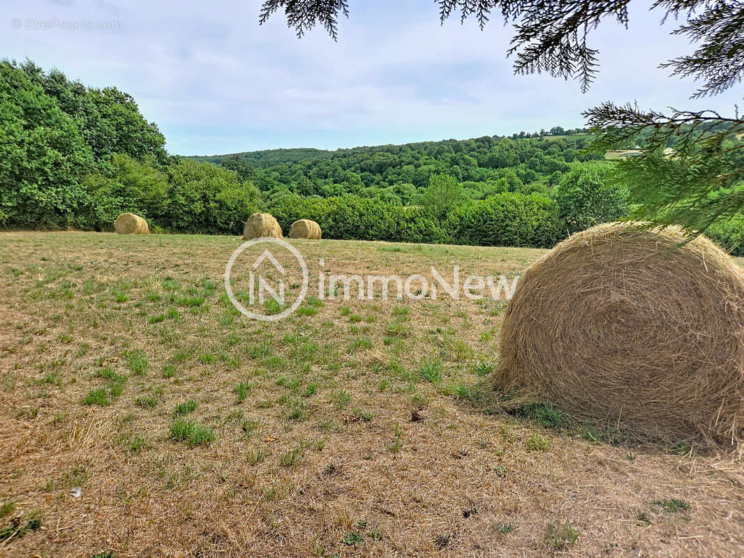 Maison + gites 317m2 Tirepied Sur sée - photo 5
