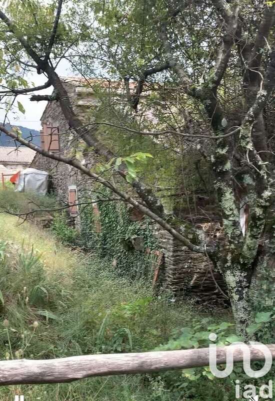 Photo 2 - Maison à SAINT-PRIVAT-DE-VALLONGUE