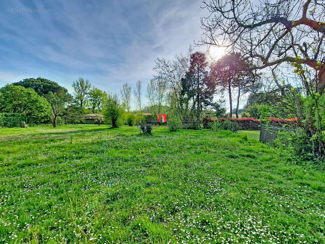 Terrain à SAINTE-EULALIE