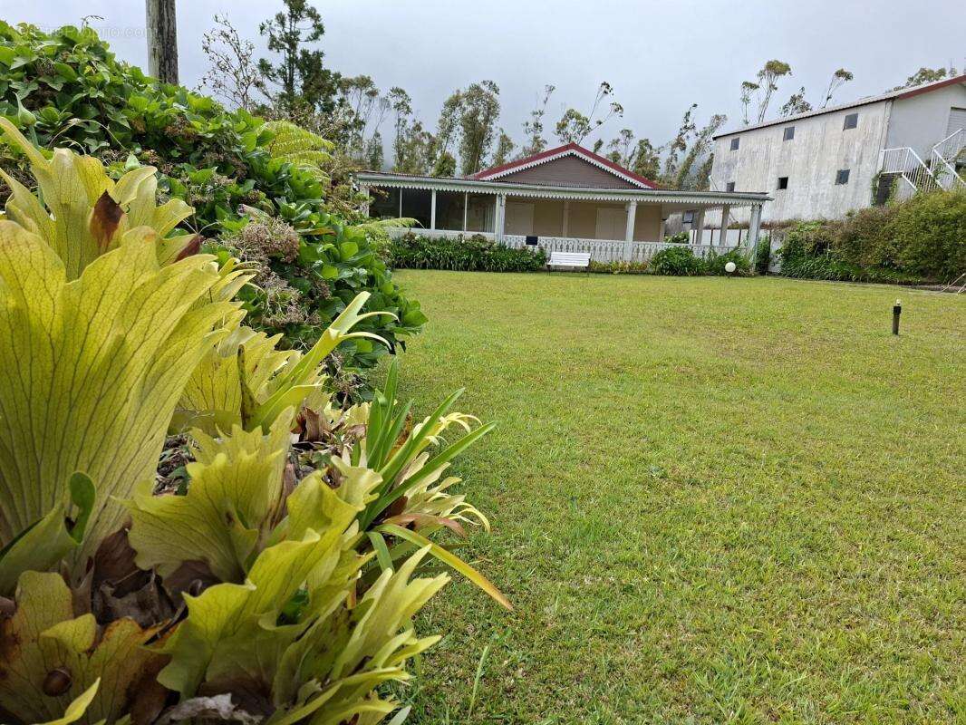 Maison à LA PLAINE-DES-PALMISTES