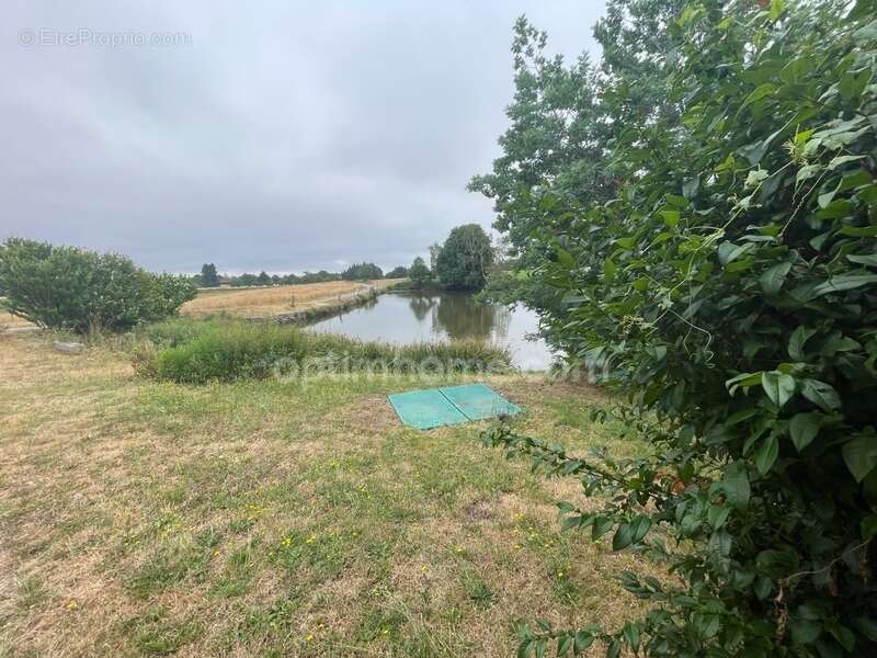 Maison  sur 8853 m2  avec étang, jardin plat et dépendances - photo 33