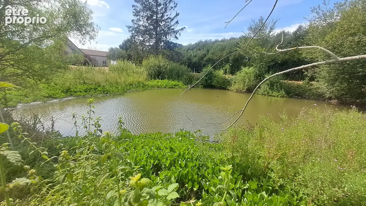 LE THOULT TROSNAY (51) à vendre superbe corps de ferme restauré sur un terrain clos de plus de 8600 m2 avec étang - photo 6
