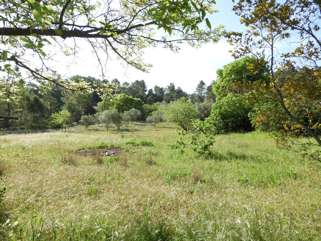 Terrain à CLERMONT-L'HERAULT