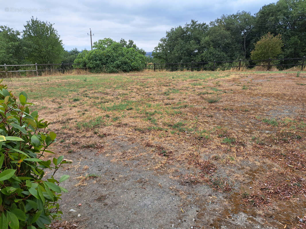 Propriete avec maison-piscine-terrain-local-bois - photo 19