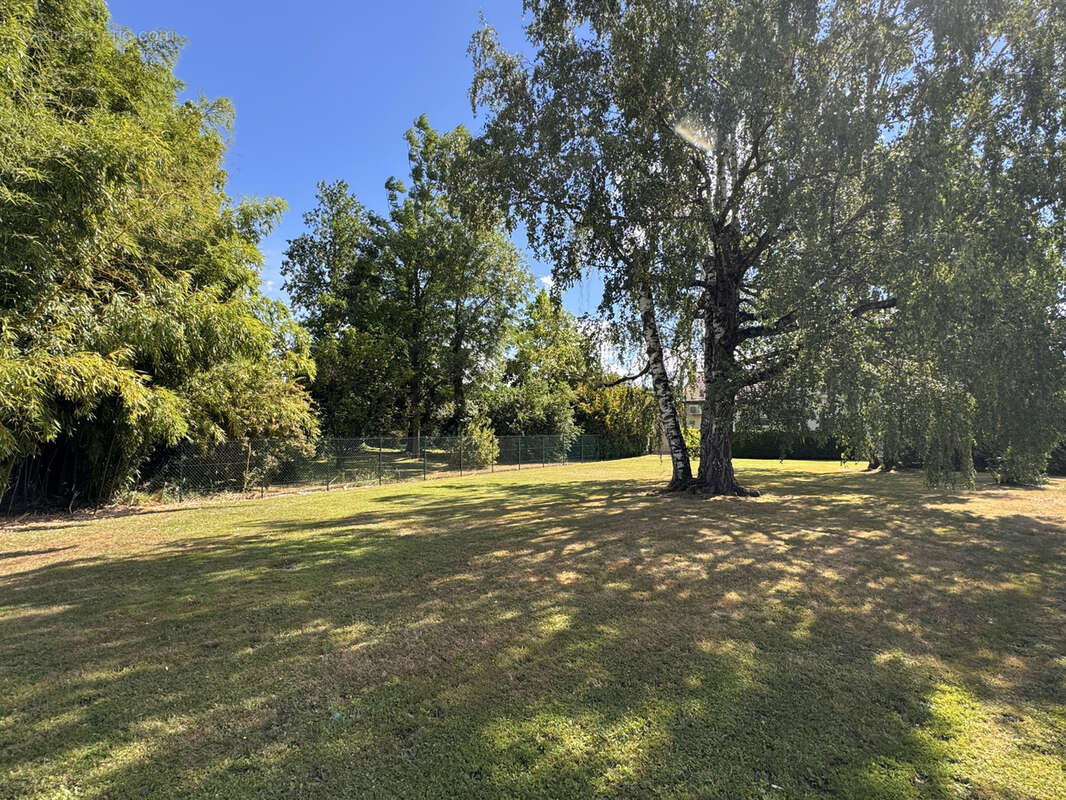 Terrain à bâtir clos et arboré à deux pas du centre de Pierre-de-Bresse - photo 2