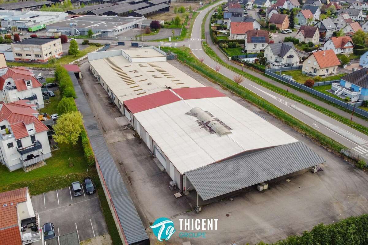 Commerce 3140 m² à Soufflenheim  - photo 5