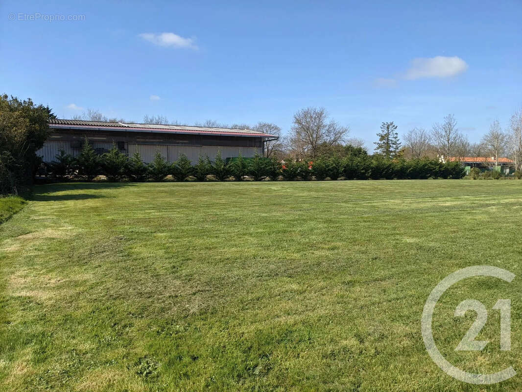 Terrain 800 m² à Talmont-Saint-Hilaire  - photo 2