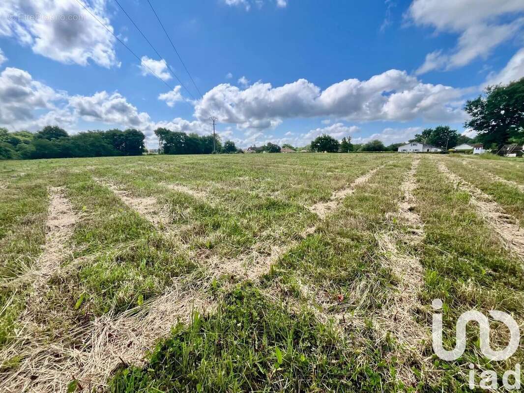 Photo 5 - Terrain à SAULT-DE-NAVAILLES