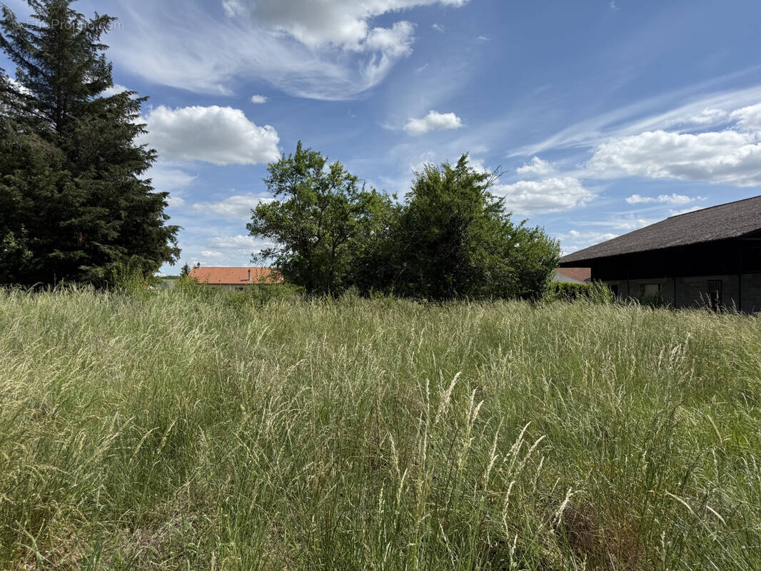 Terrain à CHAILLY-LES-ENNERY