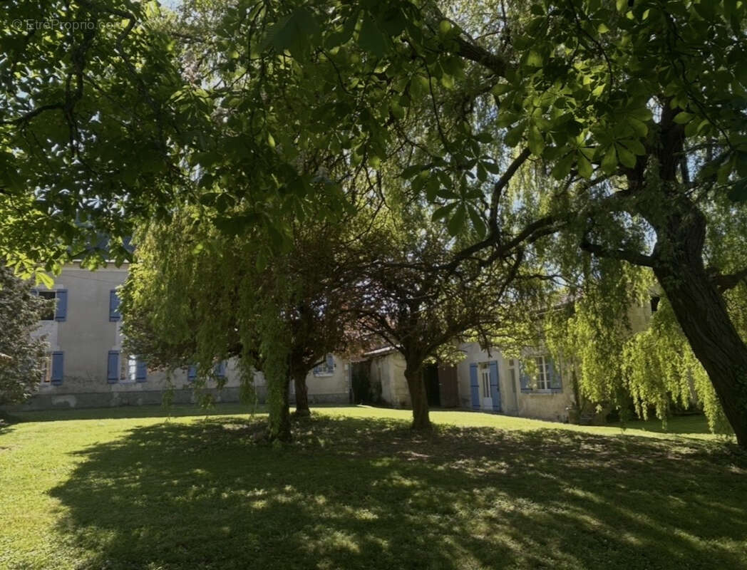 Maison à AUBETERRE-SUR-DRONNE
