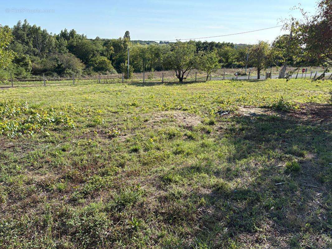 Maison à Doulezon, proche Gensac 152 m2, 4 chambres, dépendance et jardin - photo 18