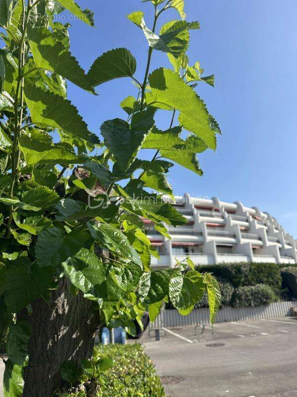 Appartement à LA GRANDE-MOTTE